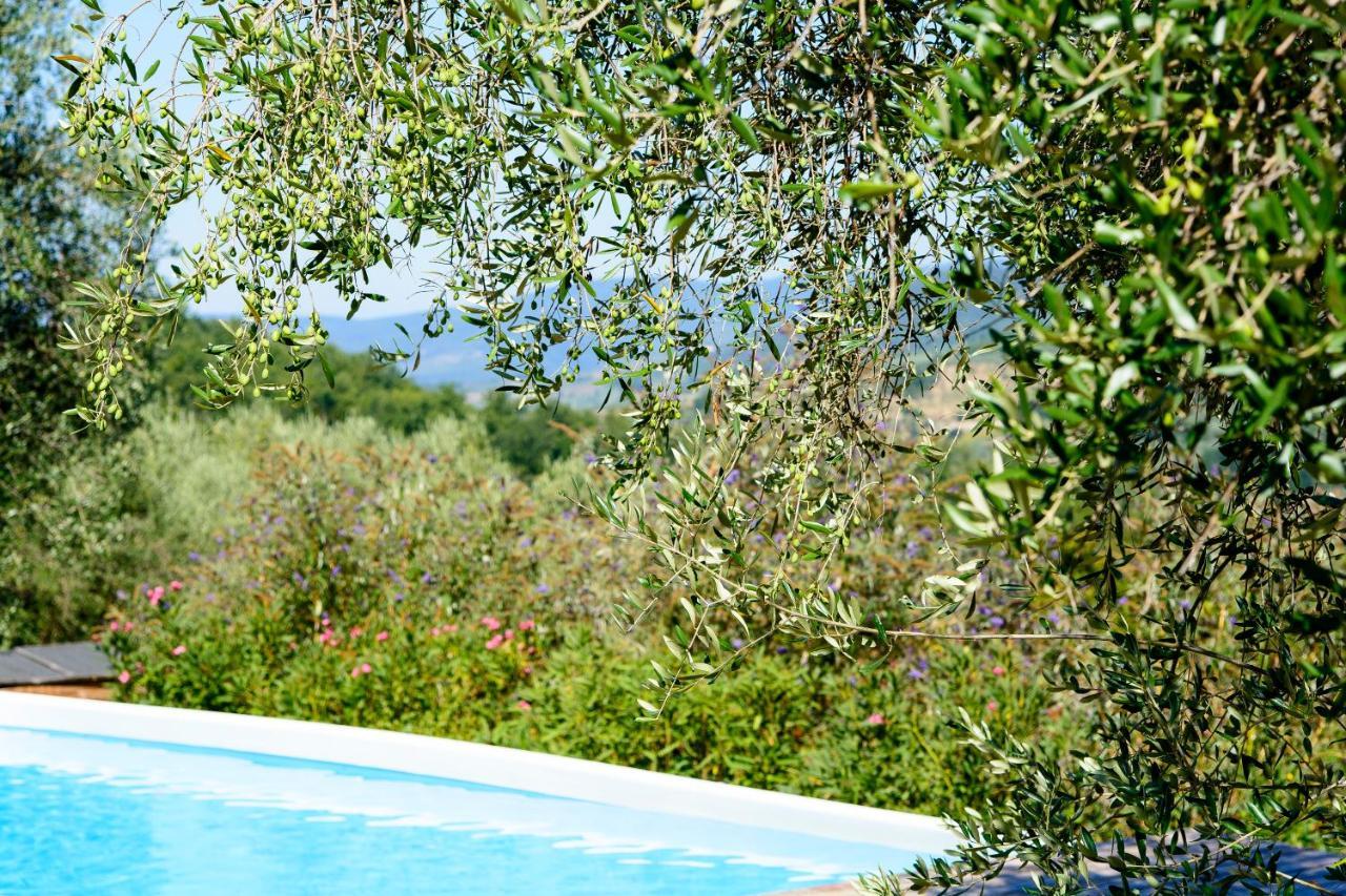 Agriturismo La Pieve 펠라고 외부 사진