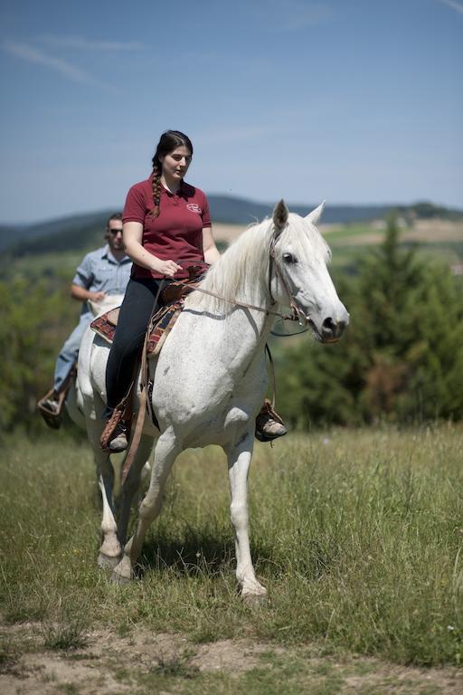 Agriturismo La Pieve 펠라고 외부 사진