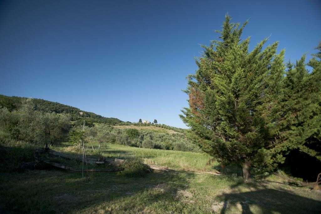 Agriturismo La Pieve 펠라고 외부 사진